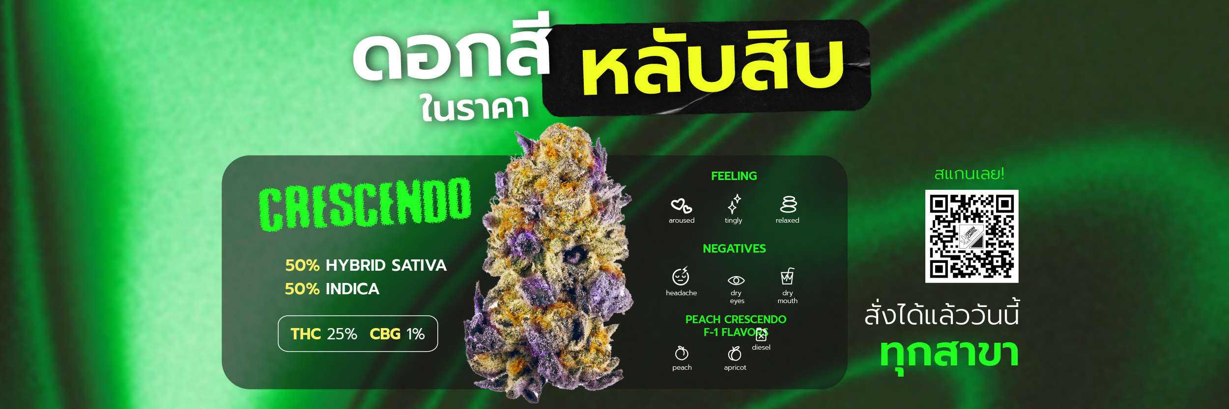 ดอกสีในราคาหลักสิบ